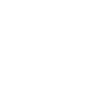 Montana Diamond Logo