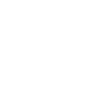 Montana Diamond Logo