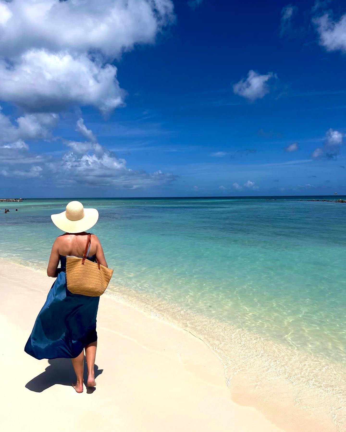 snow bird walking beach aruba