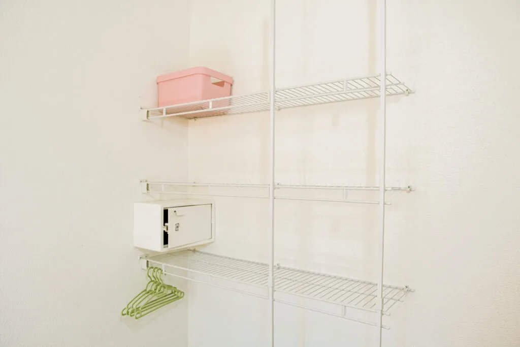 Premium Apartment closet space